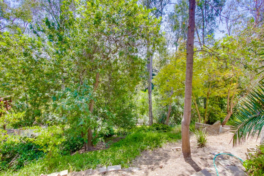 Virtual tour photo 49 of 55 for 3704 Robinson Pl