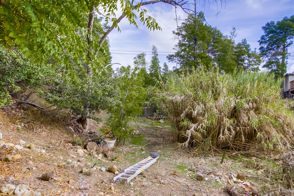 Virtual tour photo 34 of 33 for 3727 Central Ave