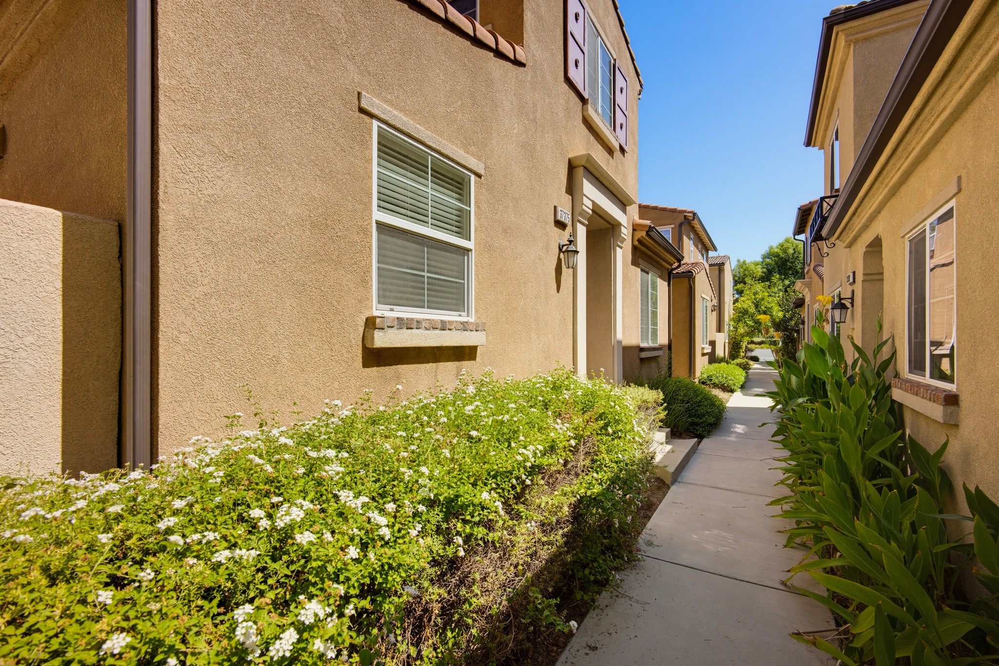 Virtual tour photo 3 of 64 for 37375 Paseo Tulipa