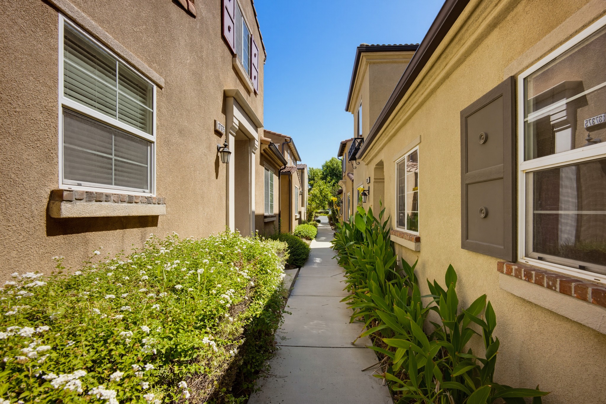 Virtual tour photo 4 of 64 for 37375 Paseo Tulipa