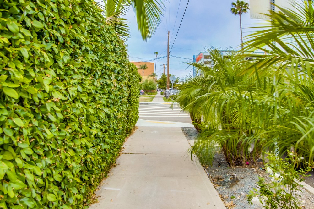 Virtual tour photo 49 of 49 for 3744 29th St