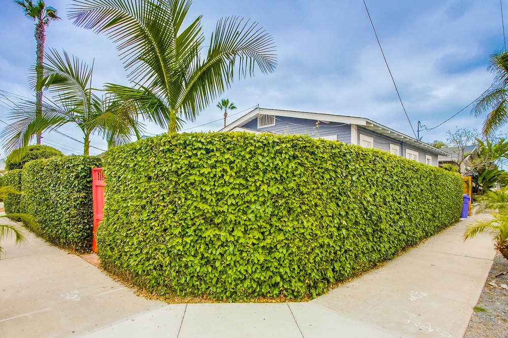 Virtual tour photo 50 of 49 for 3744 29th St
