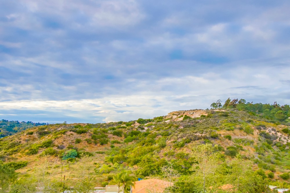Virtual tour photo 99 of 114 for 3753 Arroyo Sorrento Rd