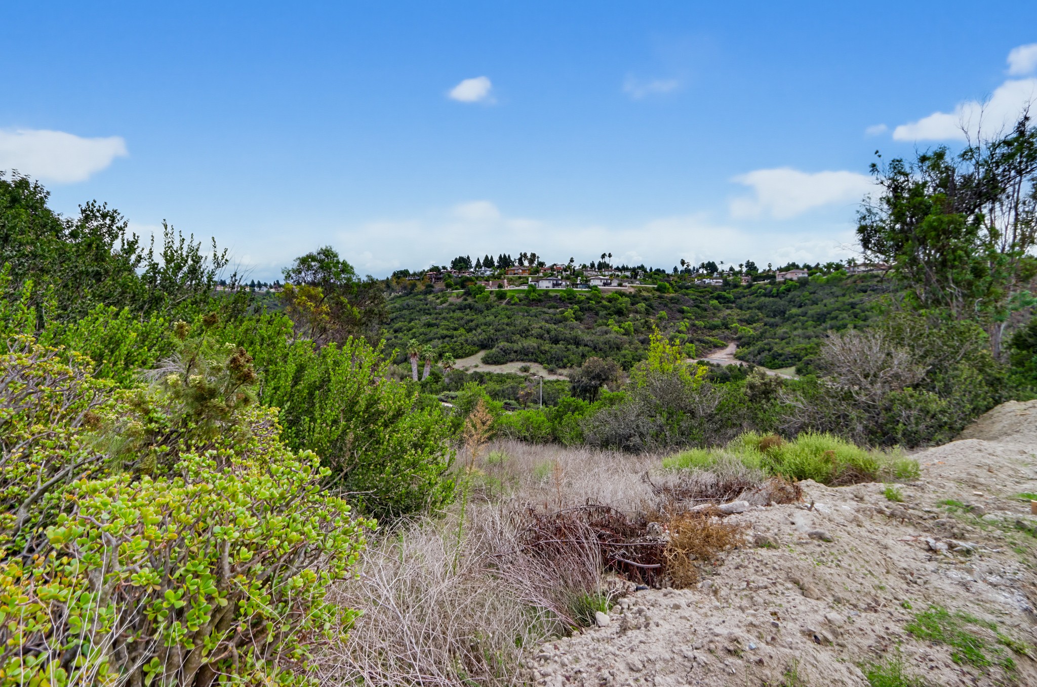 Virtual tour photo 56 of 59 for 376 Camino Elevado