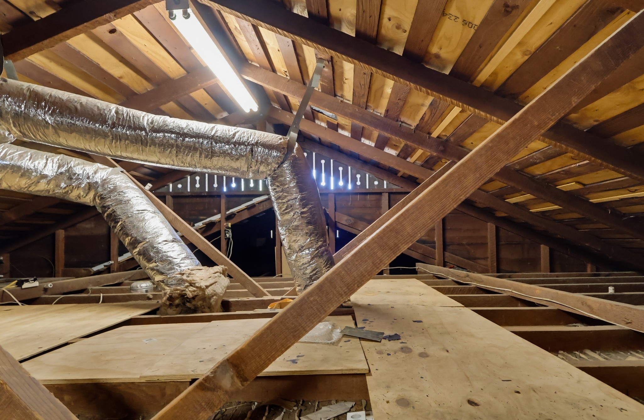Virtual tour photo 37 of 43 for 376 Orizaba Ave