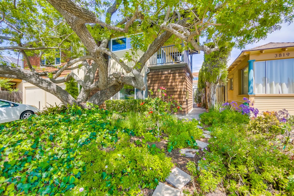 Virtual tour photo 1 of 40 for 3821 Albatross St #2