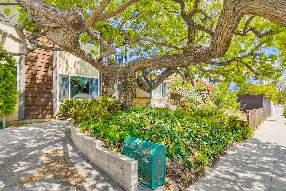 Virtual tour photo 3 of 40 for 3821 Albatross St #2
