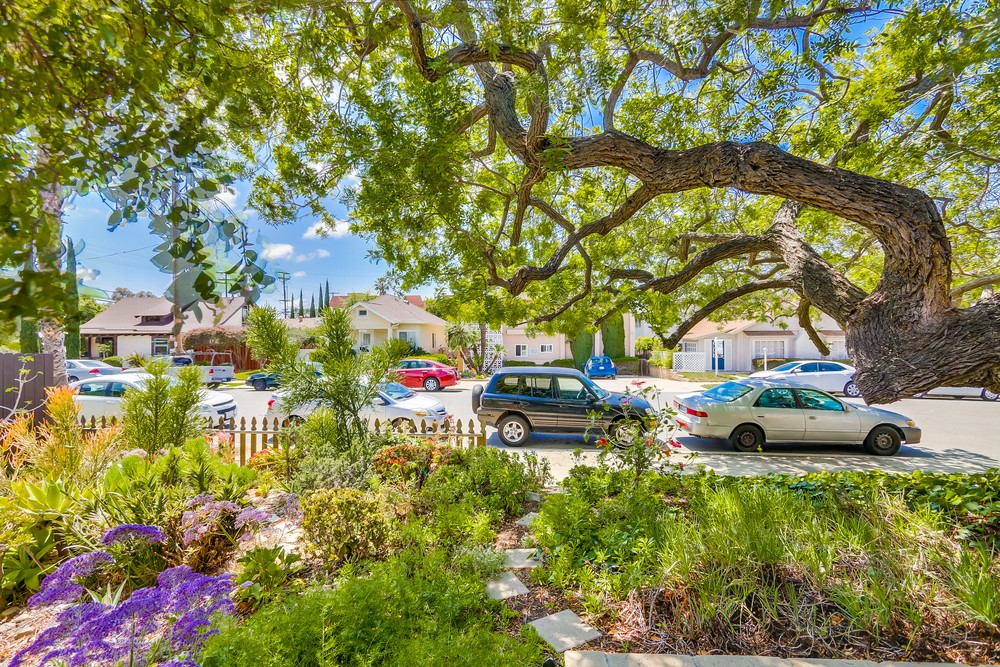 Virtual tour photo 41 of 40 for 3821 Albatross St #2