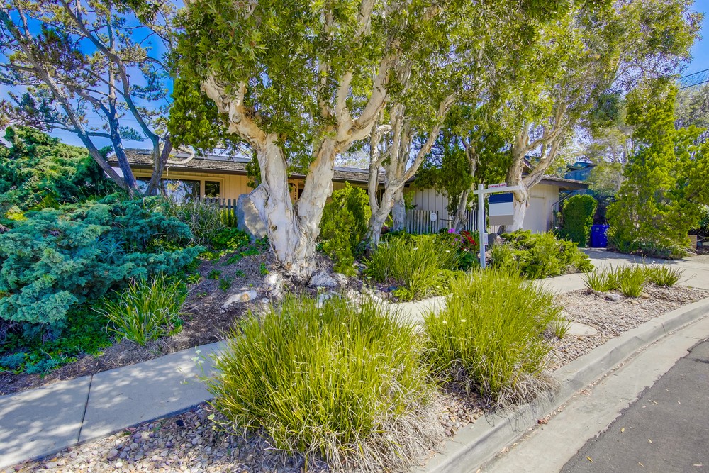 Virtual tour photo 4 of 49 for 3826 Liggett Dr