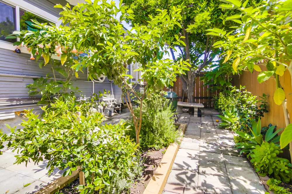 Virtual tour photo 42 of 45 for 3856 1/2 1st Ave