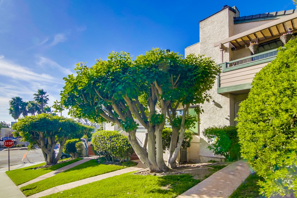 Virtual tour photo 5 of 71 for 3863 California St #2