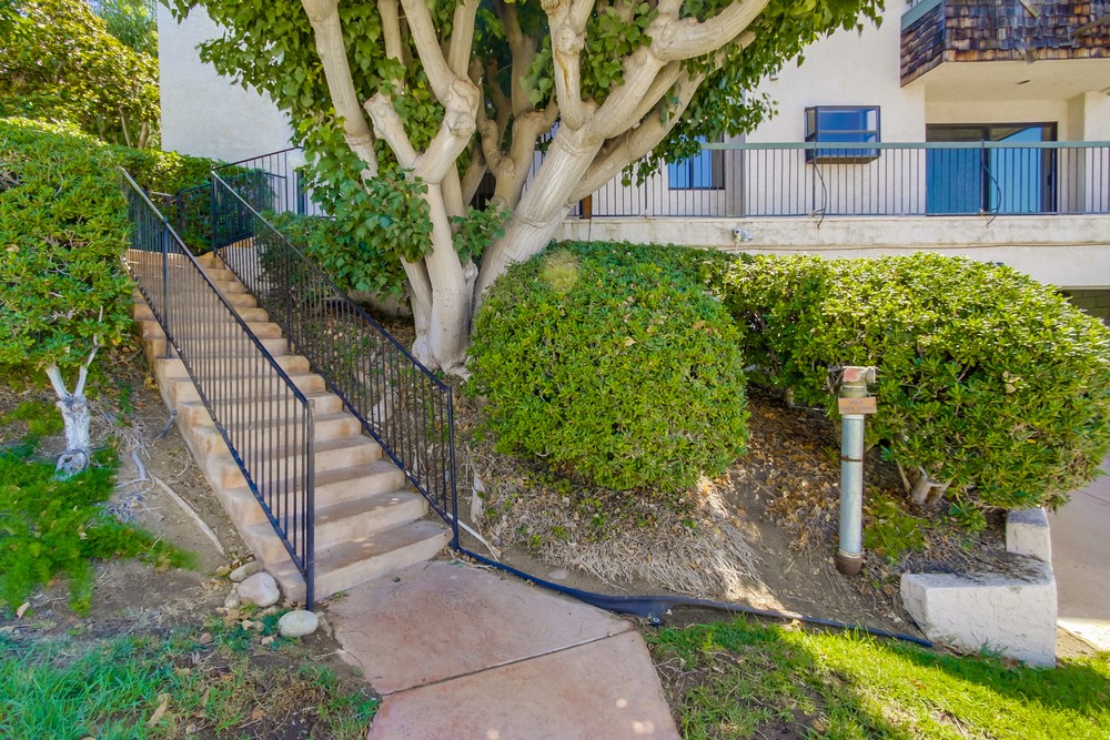 Virtual tour photo 4 of 51 for 3903 California St #1