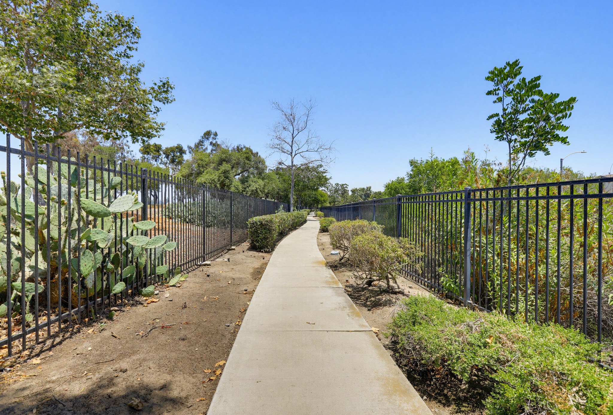 Virtual tour photo 77 of 106 for 392 W Linden Dr