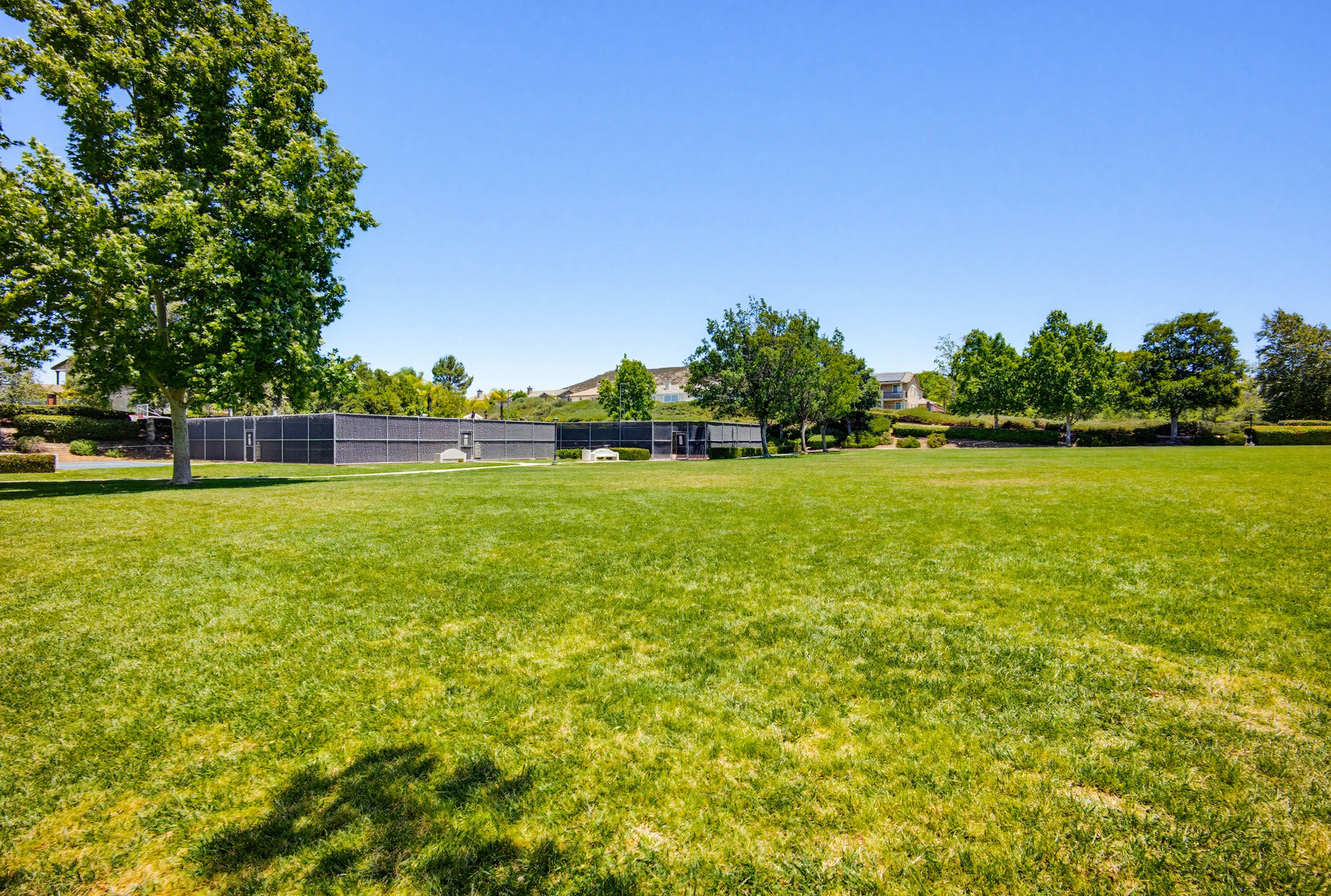 Virtual tour photo 58 of 69 for 39237 Seraphina Rd