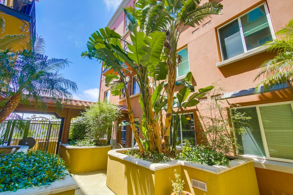 Virtual tour photo 10 of 45 for 3957 30th St #222