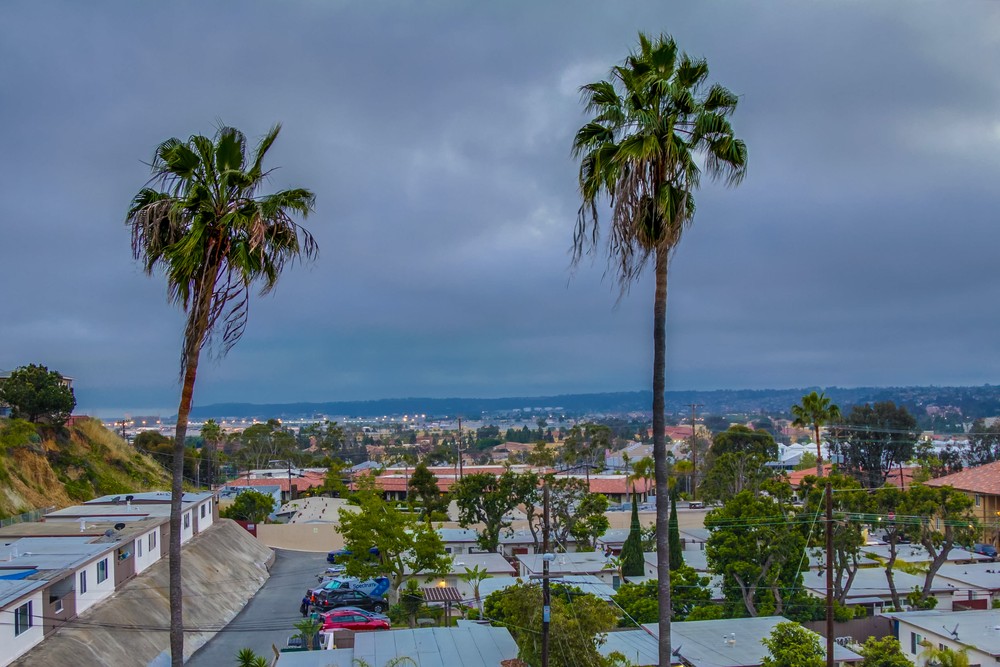 Virtual tour photo 39 of 41 for 3961 Hortensia St