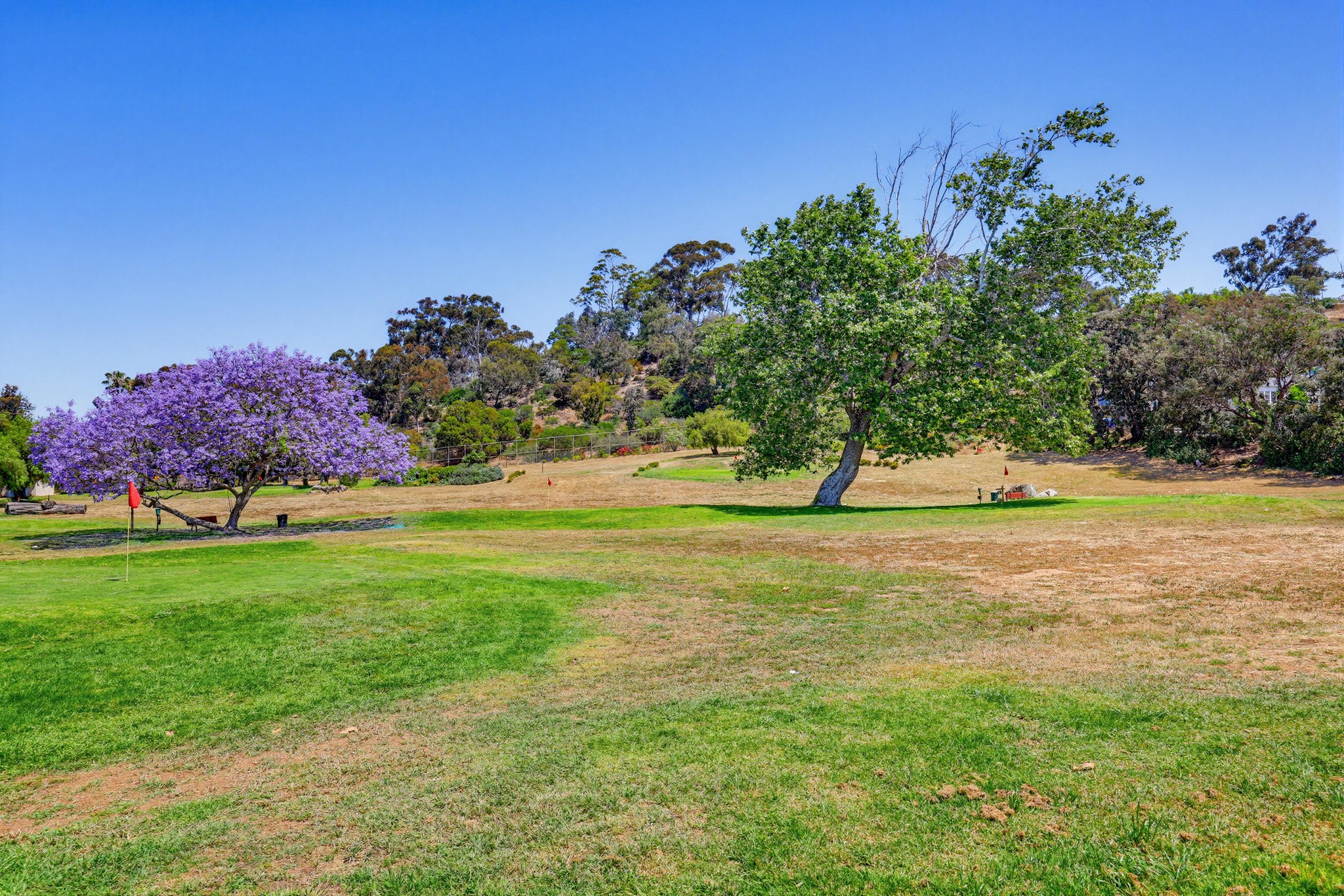Virtual tour photo 31 of 47 for 3961 Hortensia St