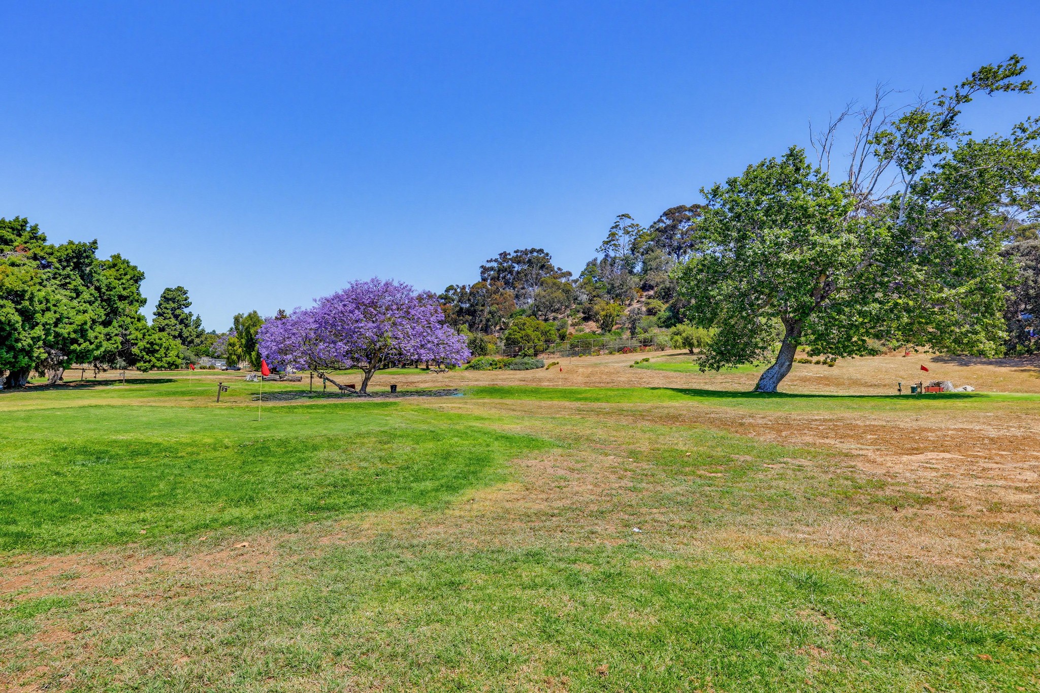 Virtual tour photo 32 of 47 for 3961 Hortensia St