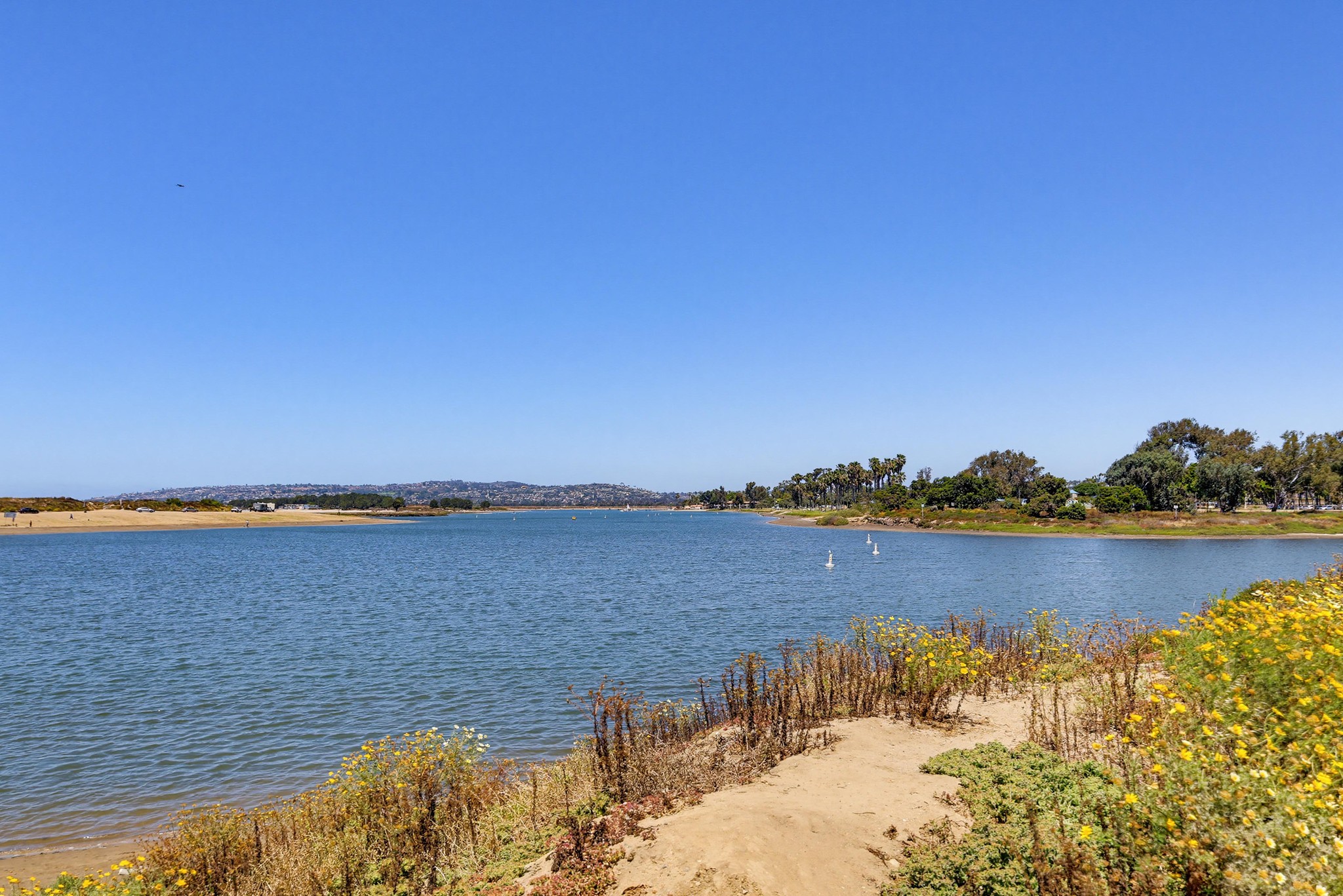 Virtual tour photo 42 of 47 for 3961 Hortensia St