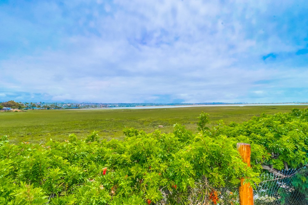 Virtual tour photo 34 of 38 for 3991 Crown Point Dr UNIT 217