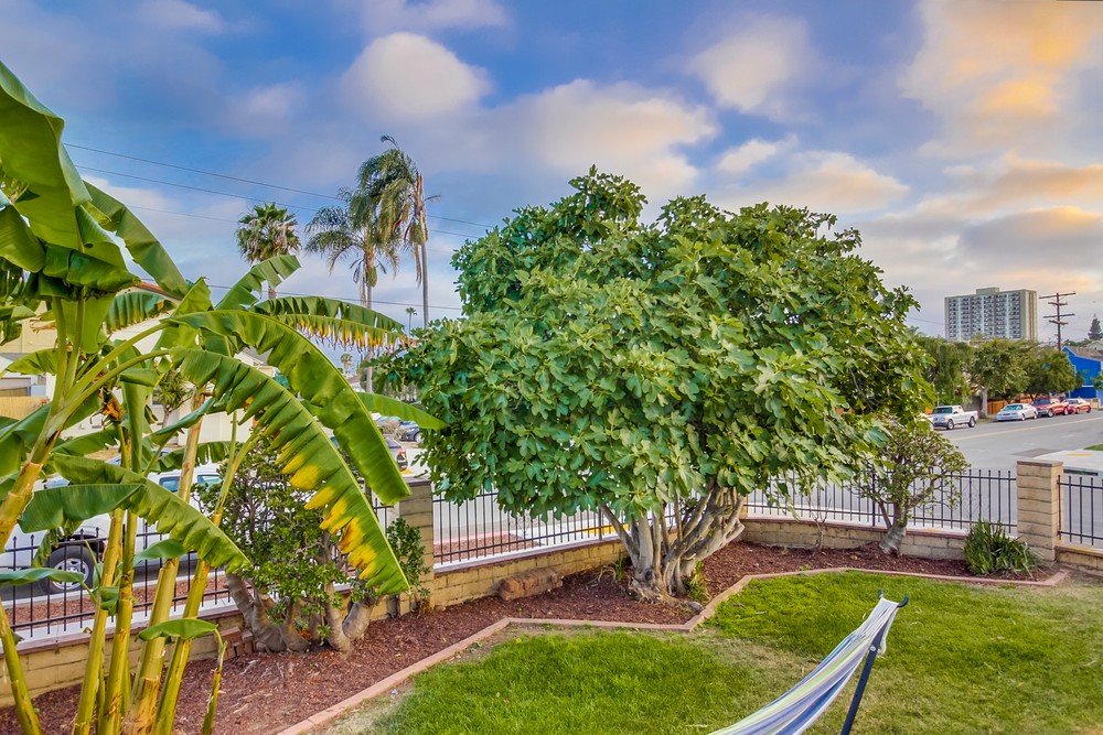 Virtual tour photo 50 of 51 for 4003 Mississippi St