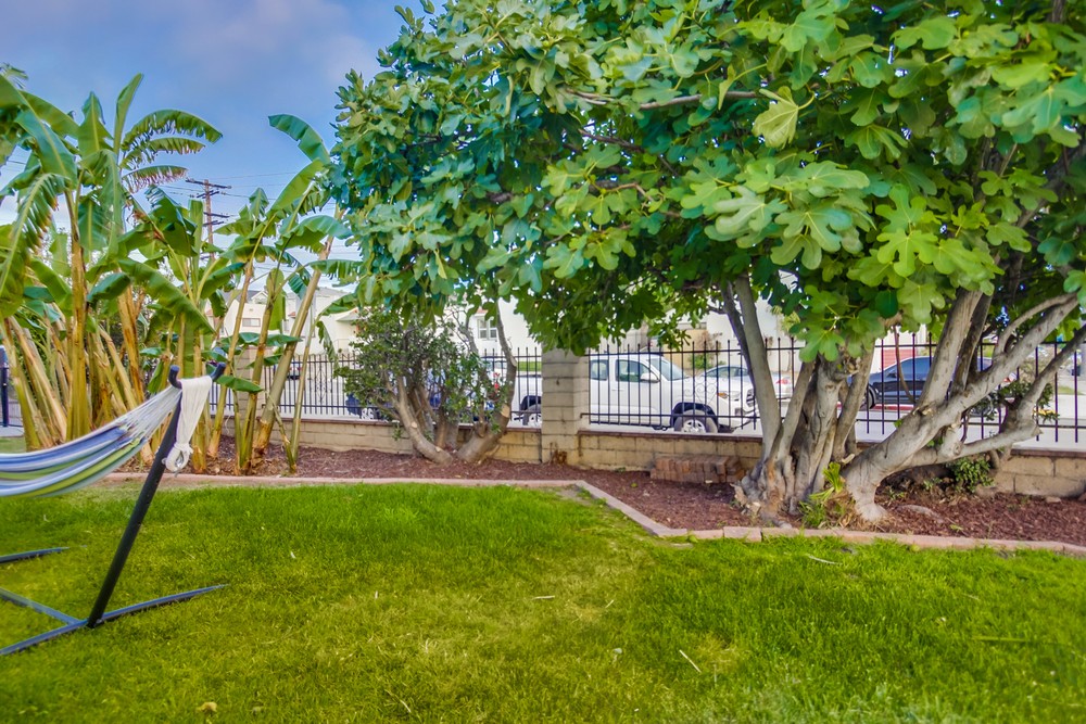 Virtual tour photo 52 of 51 for 4003 Mississippi St