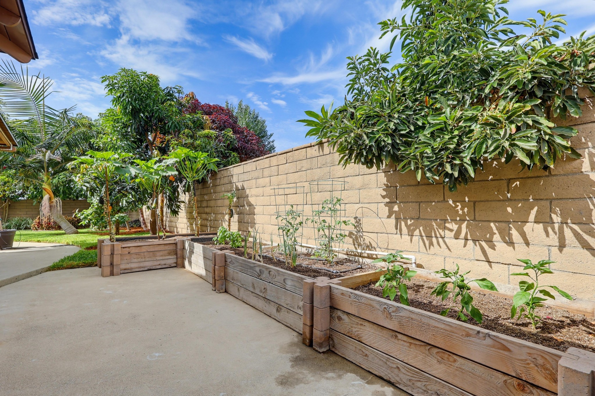 Virtual tour photo 56 of 85 for 4009 Locust St