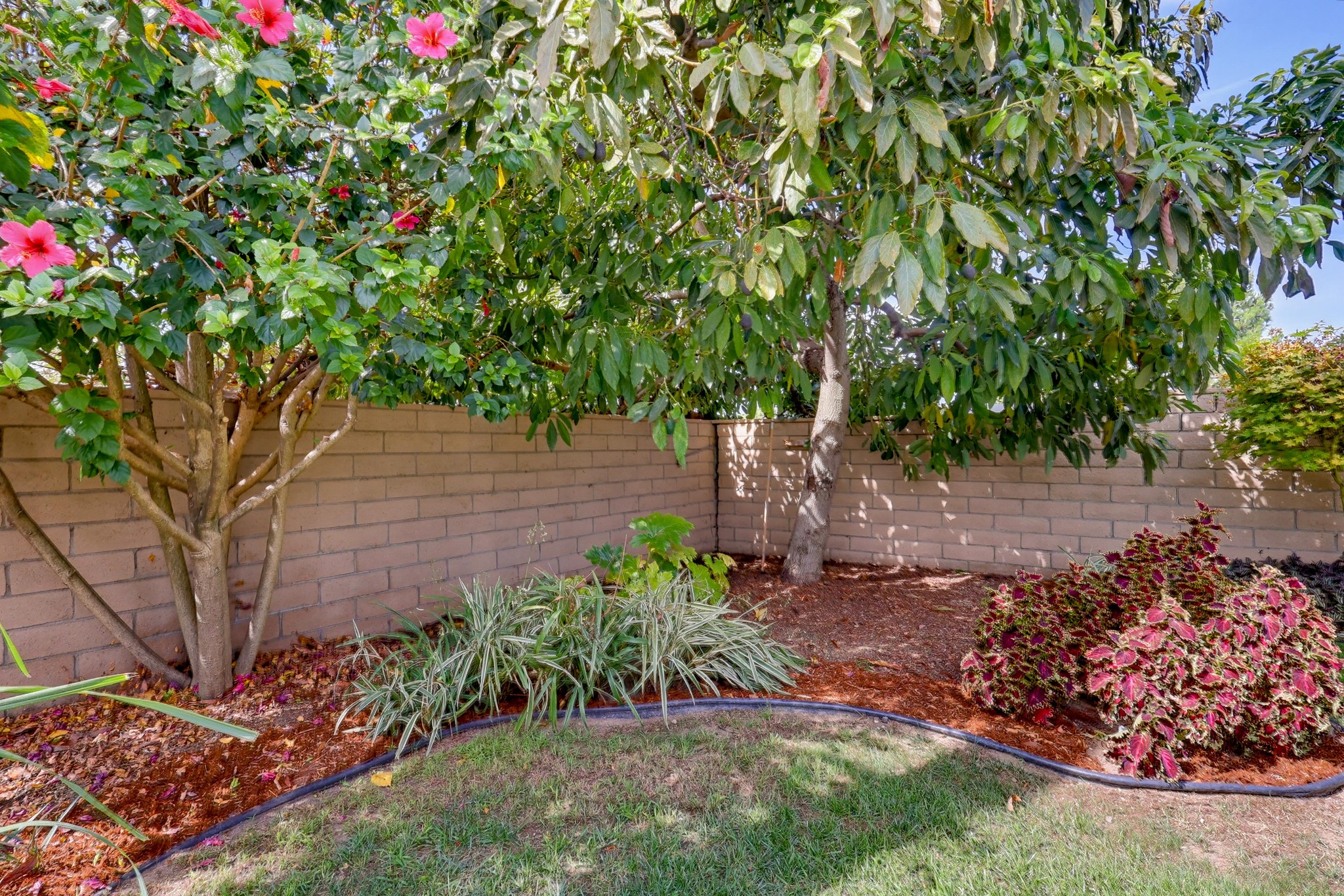 Virtual tour photo 76 of 85 for 4009 Locust St