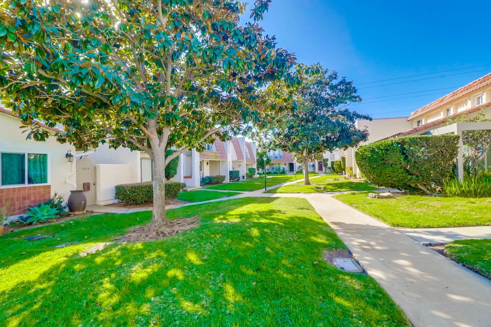 Virtual tour photo 4 of 45 for 4022 Mt Acadia Blvd