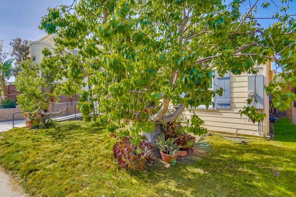 Virtual tour photo 6 of 59 for 4032 Riviera Dr