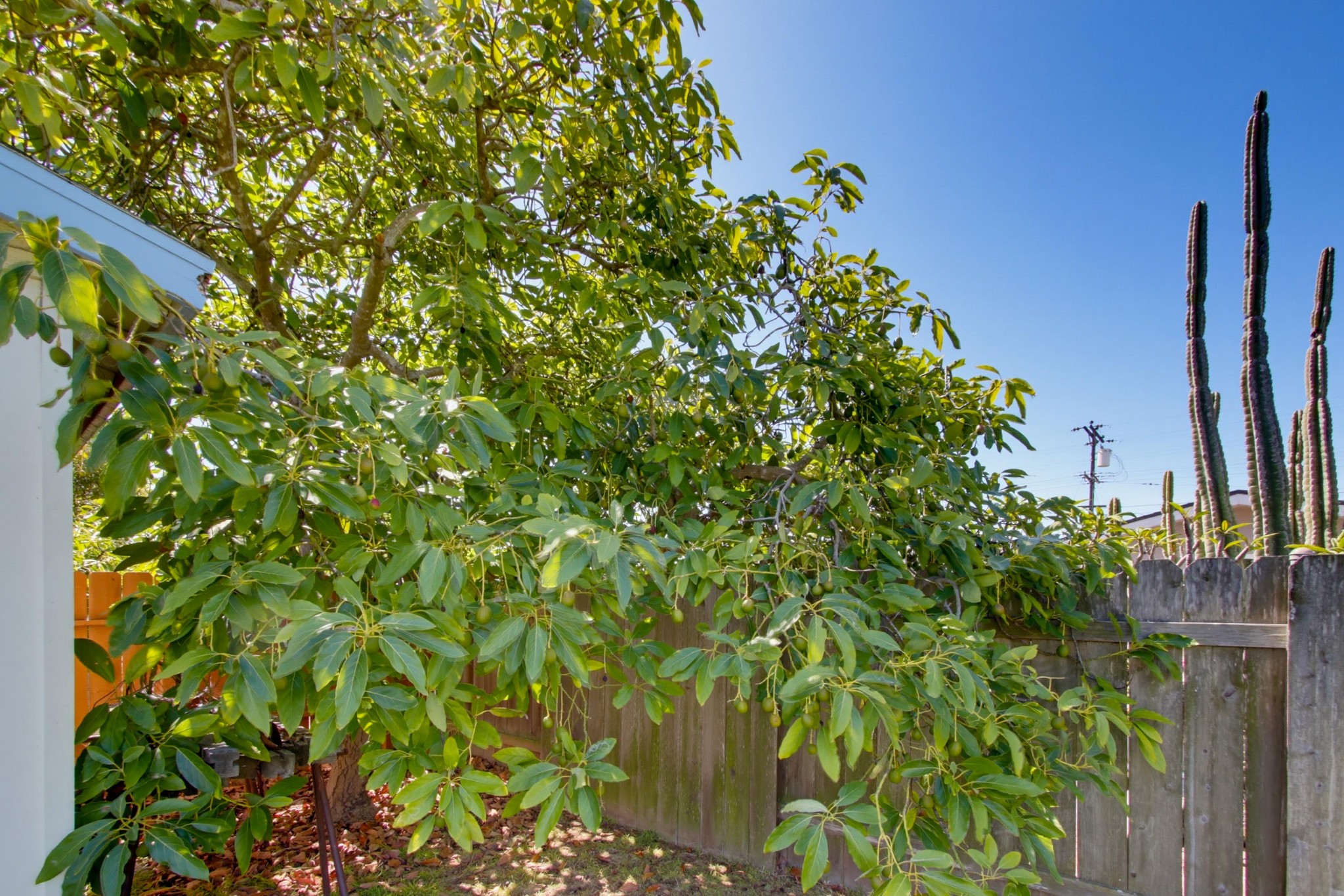 Virtual tour photo 36 of 38 for 4041 Appleton St