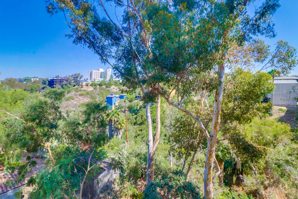 Virtual tour photo 38 of 41 for 4055 Eagle St