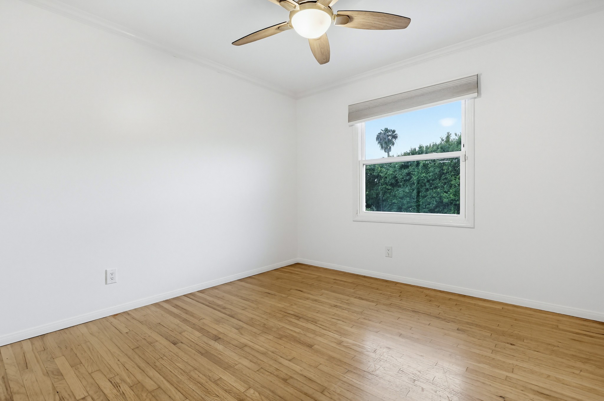 Virtual tour photo 55 of 96 for 4080 Forney Ave