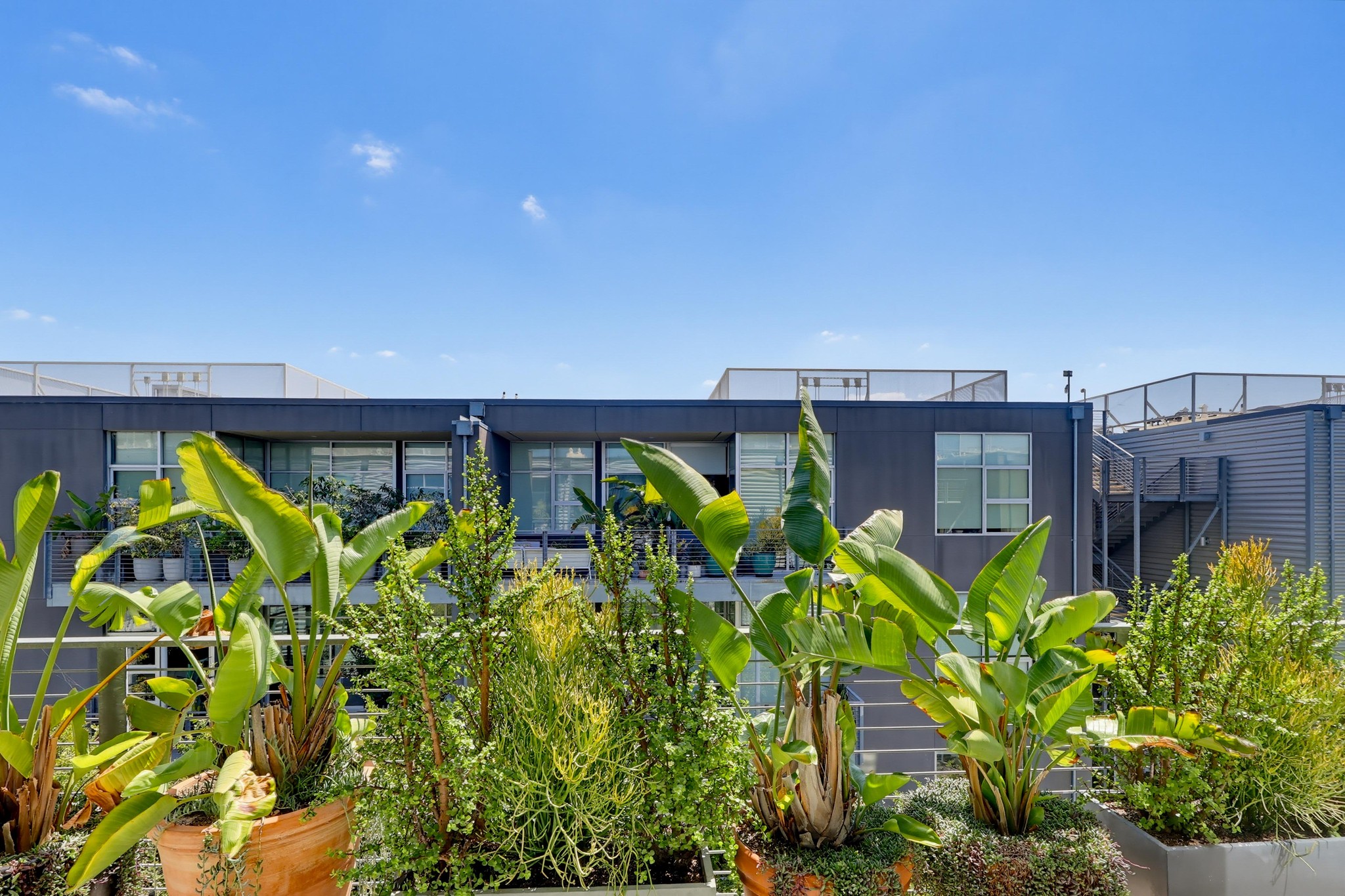 Virtual tour photo 81 of 90 for 4080 Glencoe Ave Unit 408