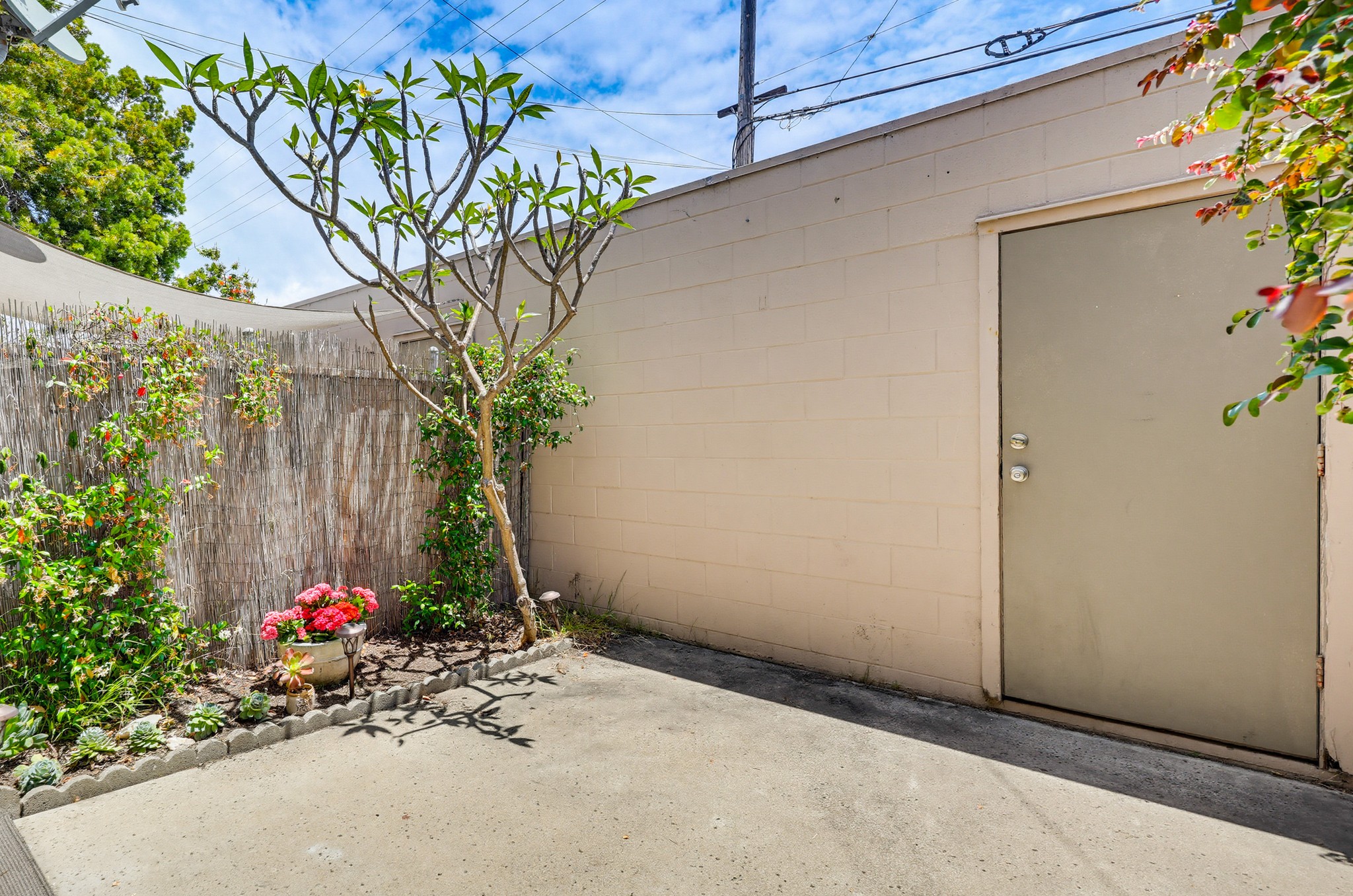 Virtual tour photo 57 of 65 for 411 C Ave