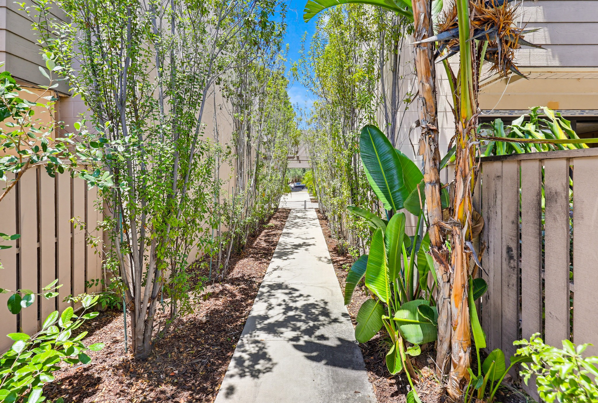 Virtual tour photo 64 of 65 for 411 C Ave