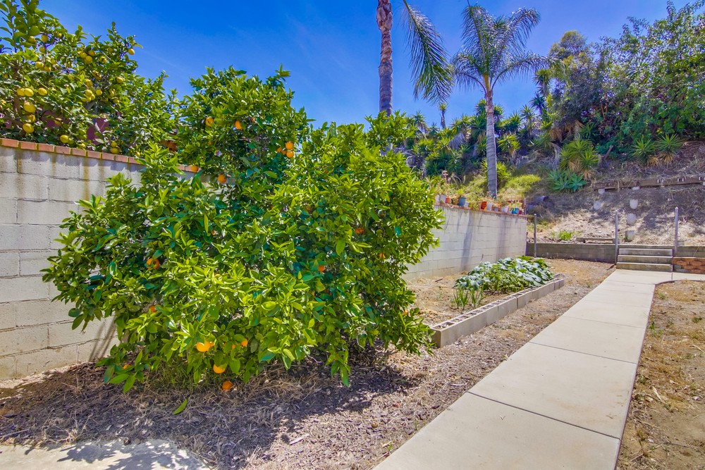 Virtual tour photo 27 of 33 for 4120 Loma Alta Dr