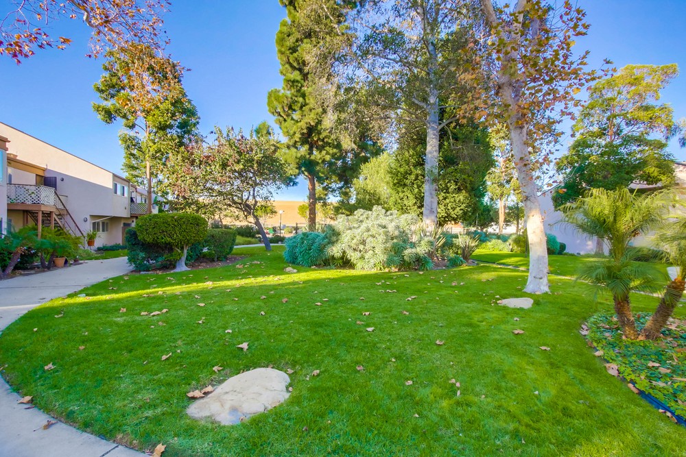 Virtual tour photo 35 of 35 for 4186 Mt Alifan Dr