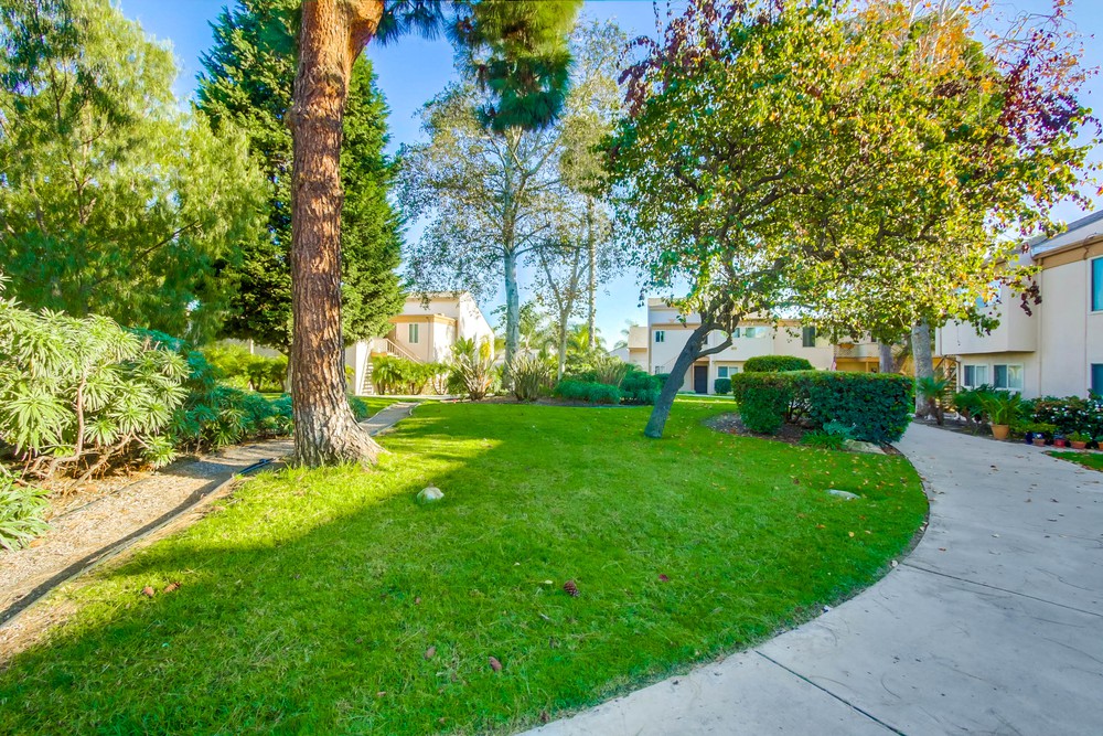 Virtual tour photo 36 of 35 for 4186 Mt Alifan Dr