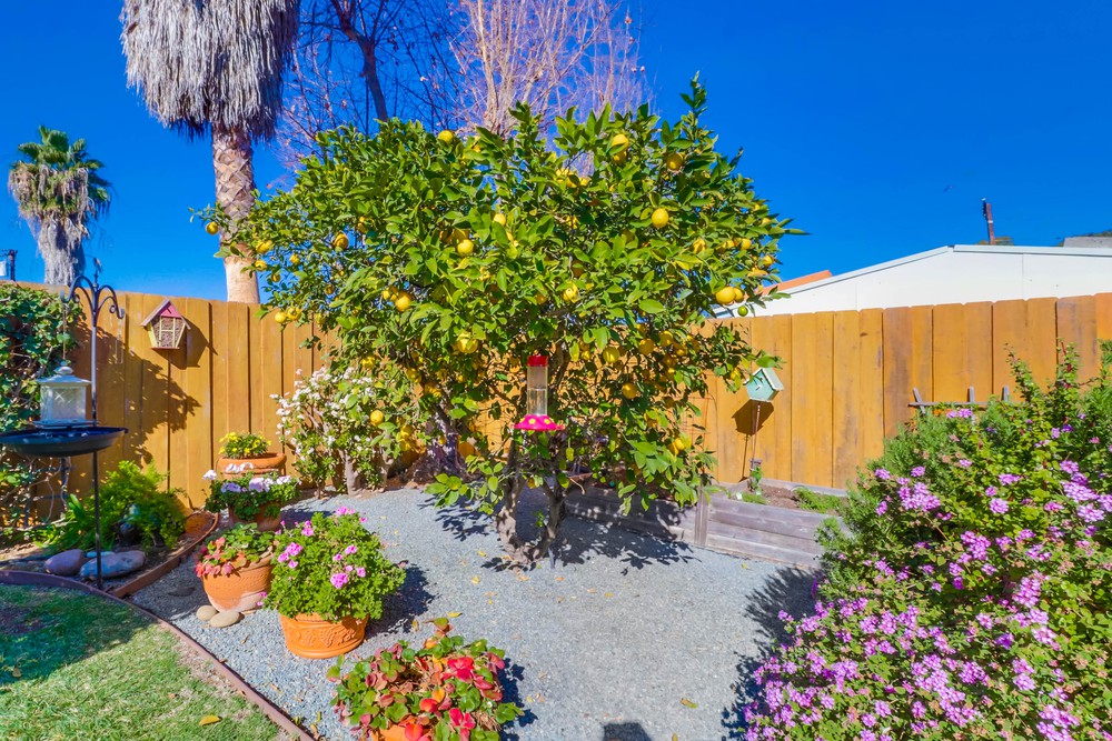 Virtual tour photo 53 of 56 for 4192 Ashford St
