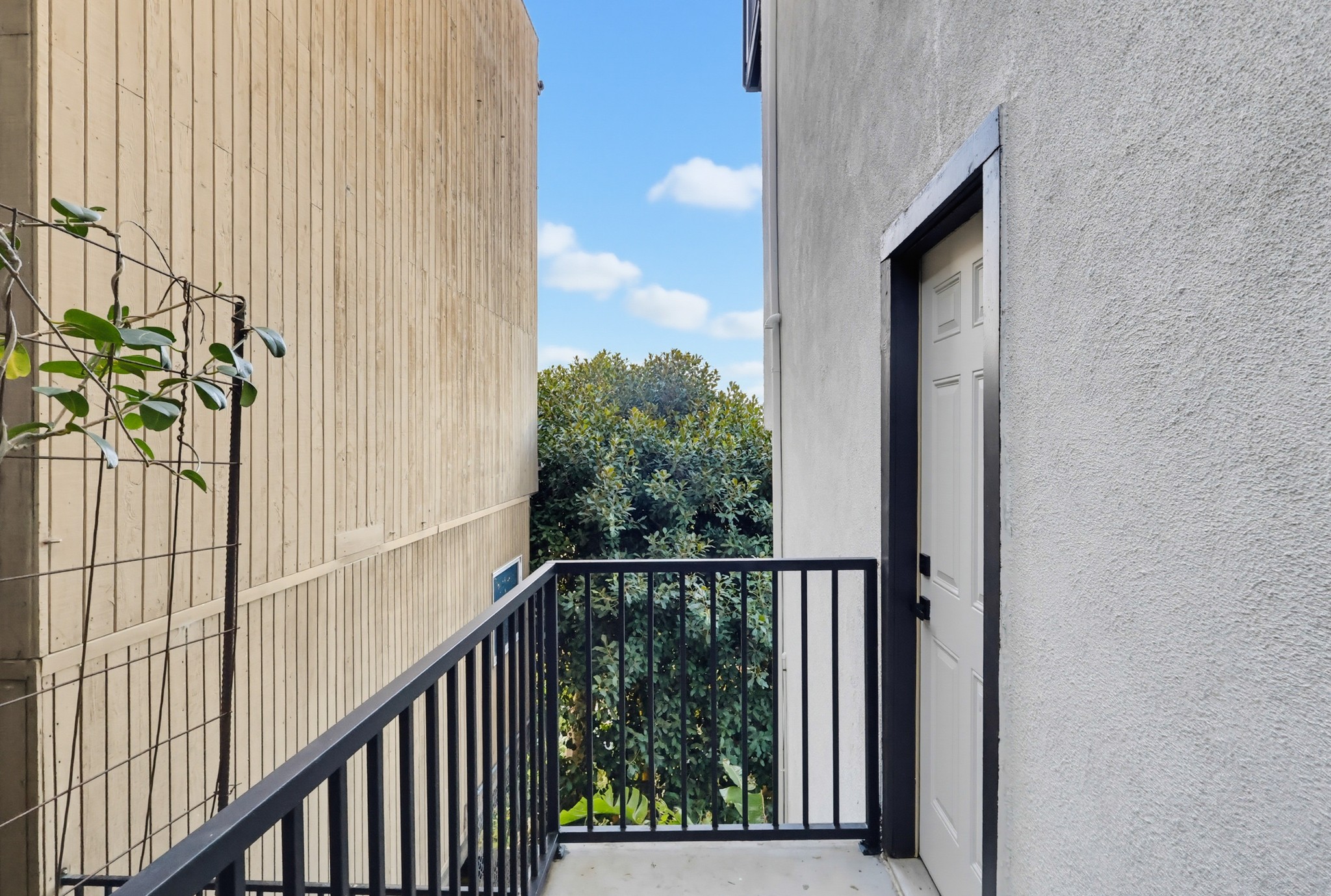 Virtual tour photo 150 of 154 for 4201 Mesa St