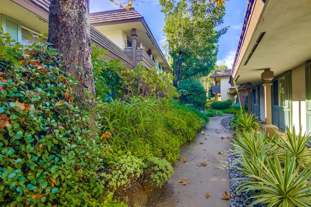 Virtual tour photo 3 of 64 for 4207 Collwood Ln