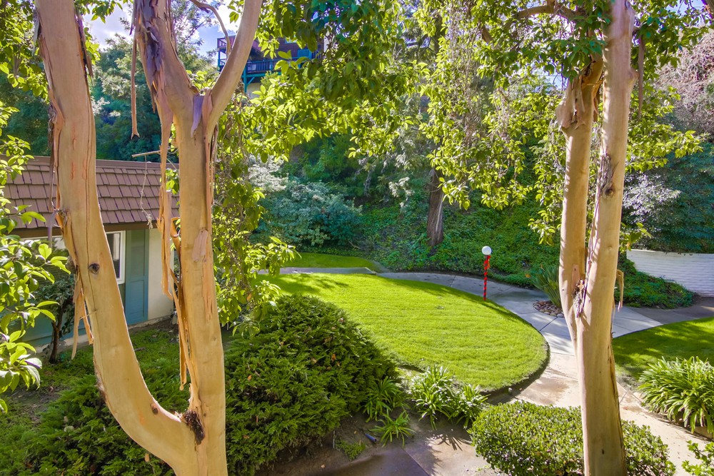 Virtual tour photo 47 of 64 for 4207 Collwood Ln