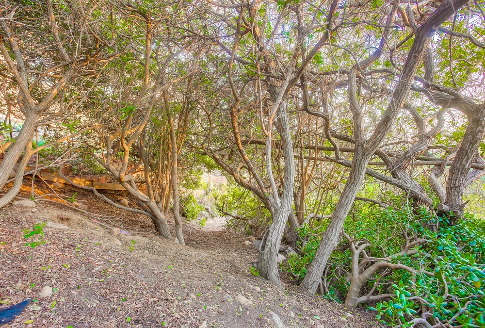 Virtual tour photo 59 of 67 for 4214 Dakota Dr