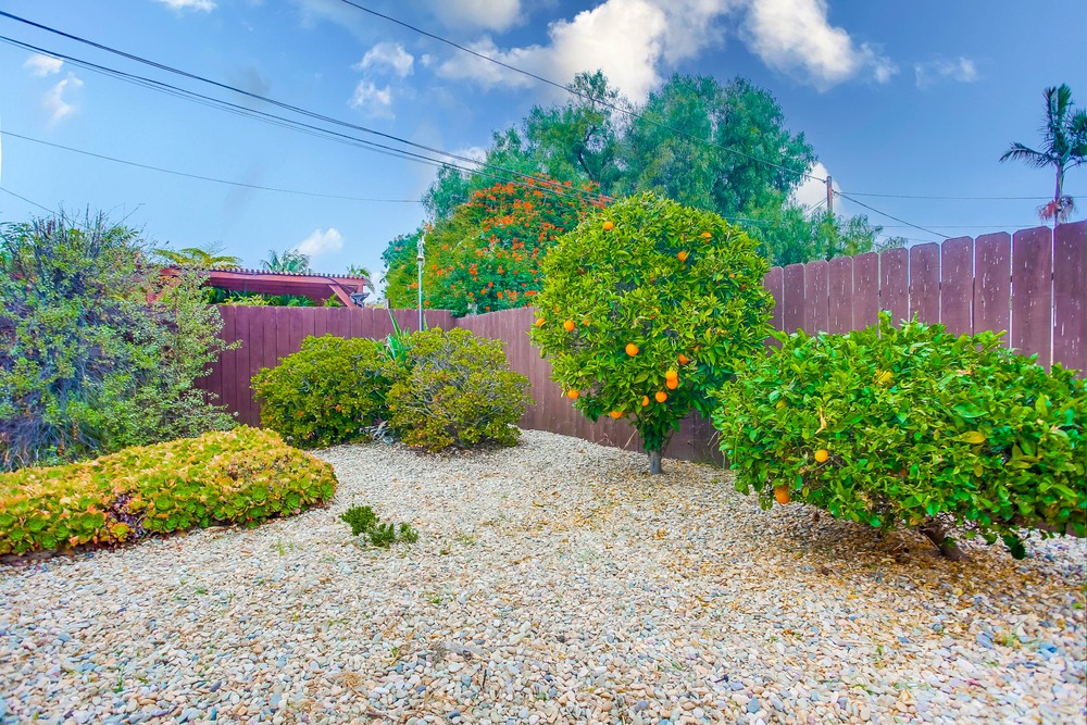 Virtual tour photo 56 of 64 for 4228 Napier St