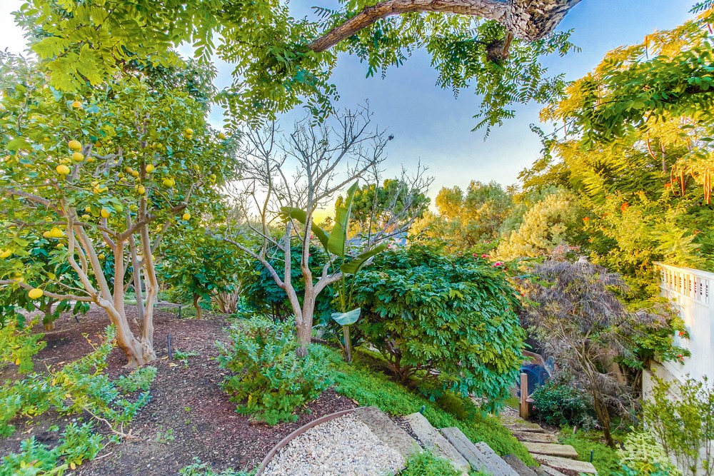 Virtual tour photo 101 of 116 for 4240 Arista St