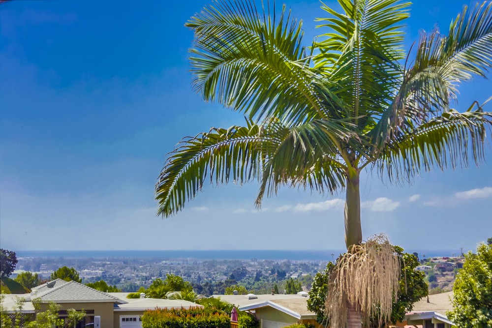 Virtual tour photo 44 of 79 for 4263 Avati Dr