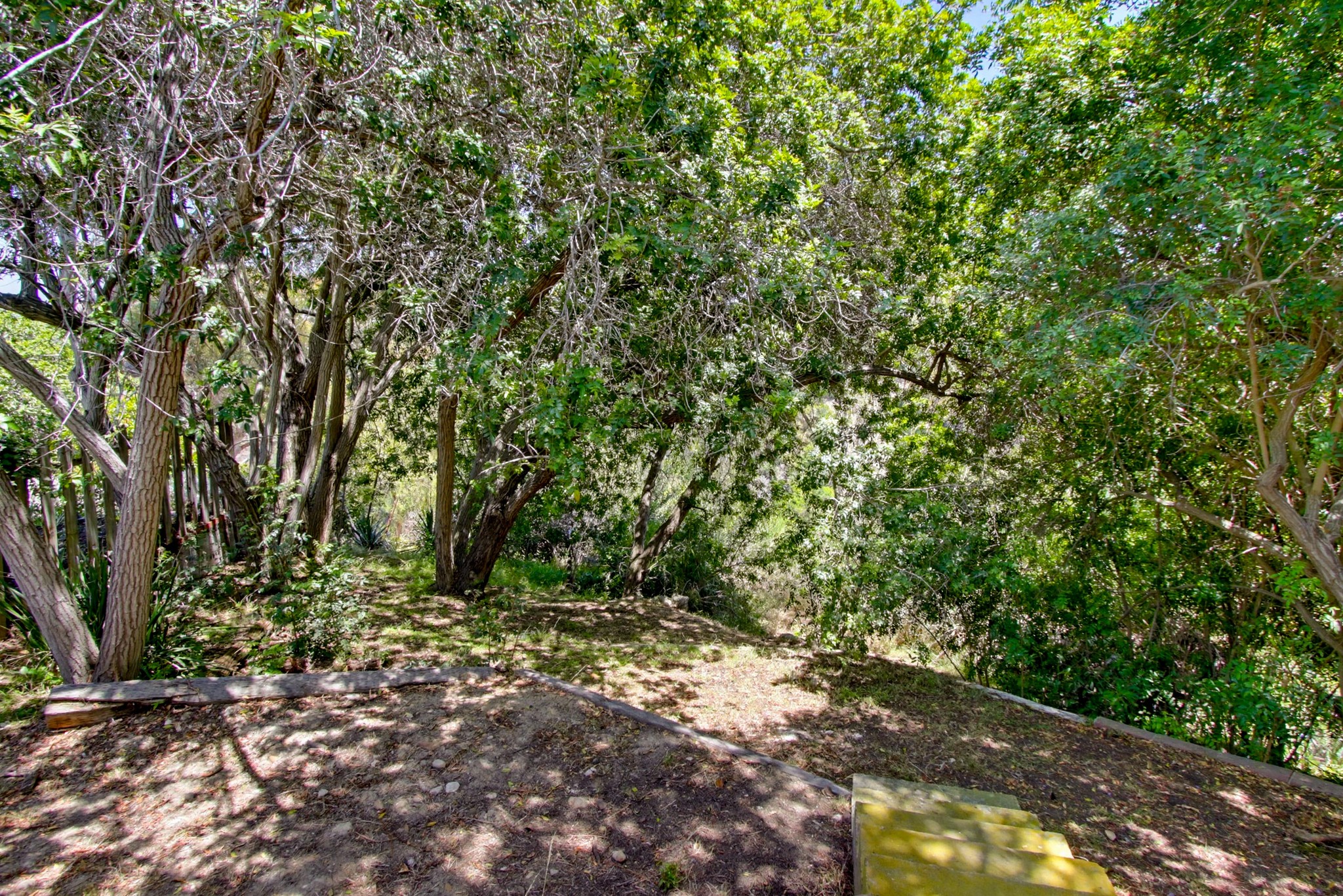 Virtual tour photo 59 of 60 for 4263 Hawk St
