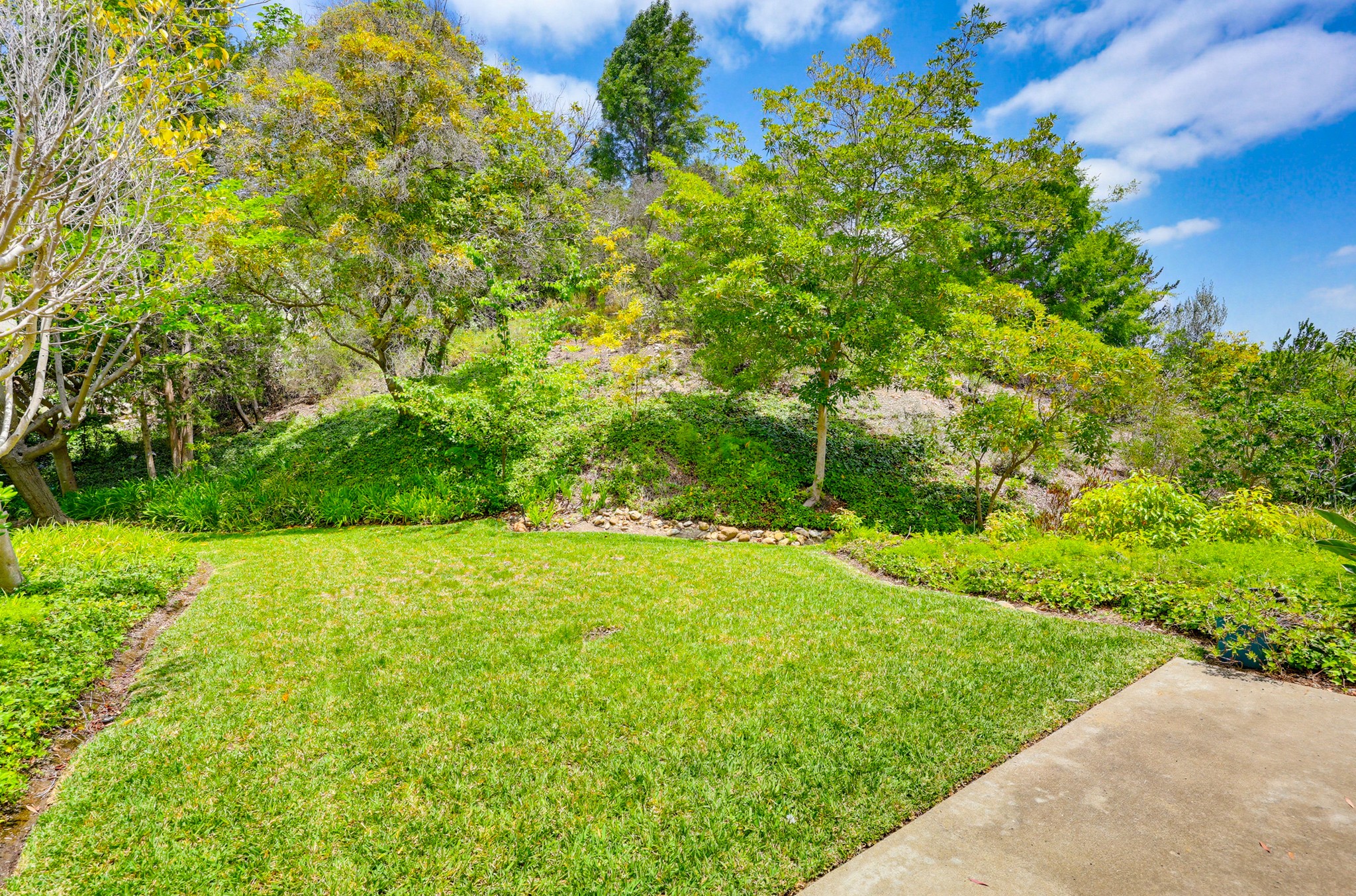 Virtual tour photo 48 of 59 for 4268 Caminito Pintoresco