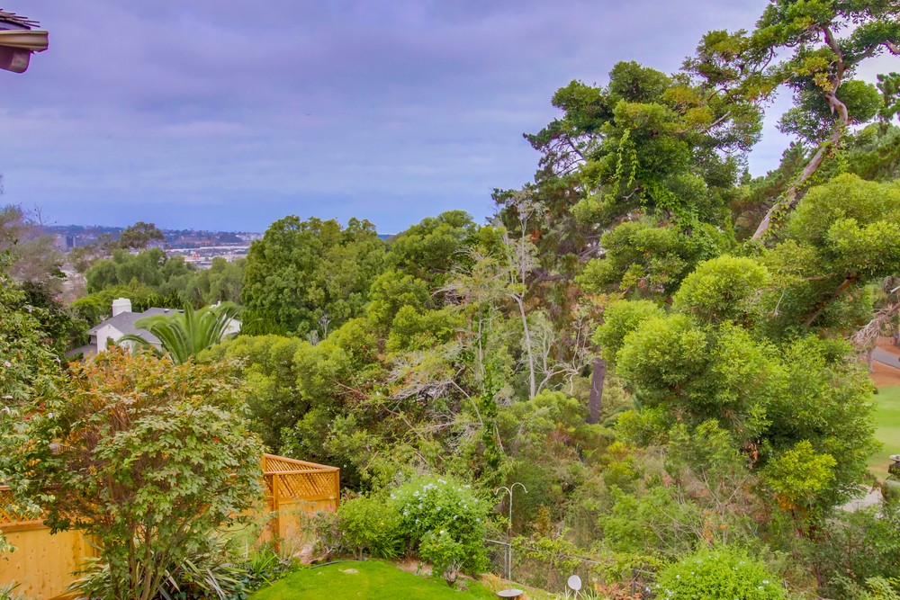 Virtual tour photo 51 of 95 for 4272 Altamirano Way